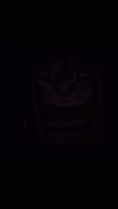 A Painting Of A Cat With Dreadlocks On It 'S Head GIF