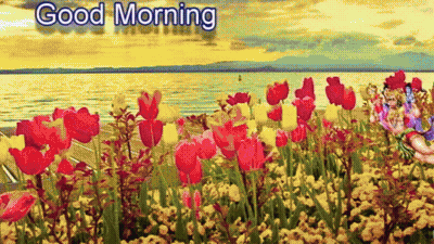 A Painting Of A Field Of Flowers With The Words Good Morning GIF