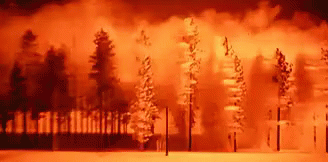 A Painting Of A Forest On Fire At Night With Trees In The Foreground And A Red Sky In The Background . GIF