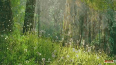 A Painting Of A Forest With A Red Subscribe Button In The Corner GIF