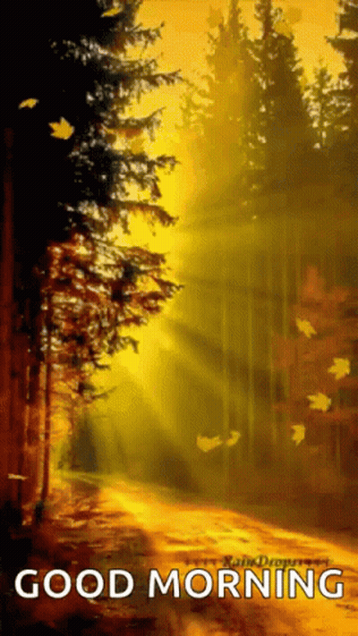 A Painting Of A Forest With The Words Good Morning GIF