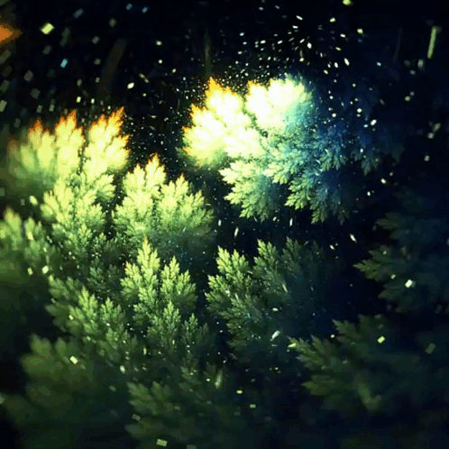 A Painting Of A Forest With Trees And Leaves In The Dark GIF