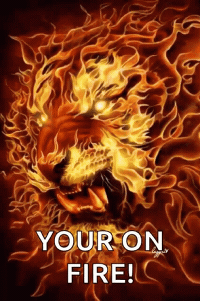 A Painting Of A Lion Surrounded By Flames With The Words `` Your On Fire '' Below It . GIF