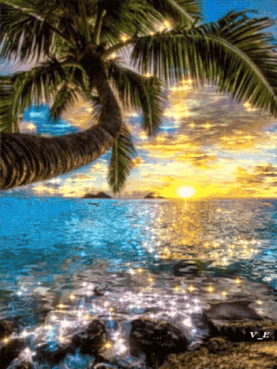 A Painting Of A Palm Tree Overlooking A Body Of Water At Sunset GIF