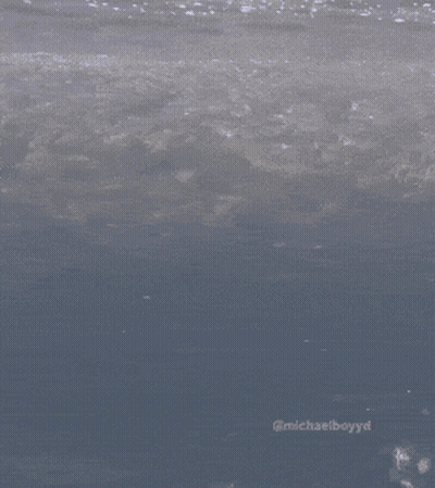 A Painting Of A Sea With The Name Michaelboyd On It GIF