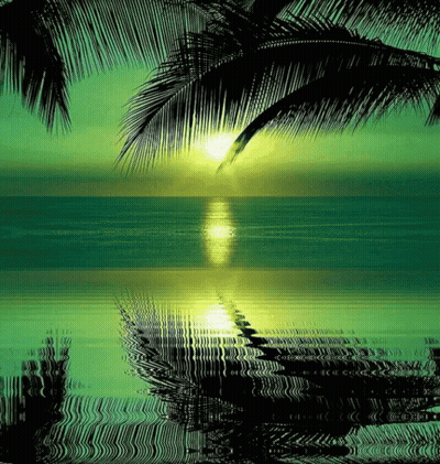 A Painting Of A Sunset Over The Ocean With Palm Trees GIF