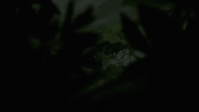 A Painting Of A Tree In The Woods GIF