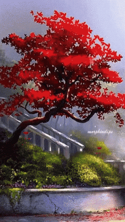 A Painting Of A Tree With Red Leaves And The Name Morphinclips On The Bottom GIF