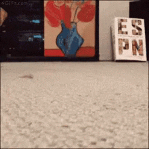 A Painting Of A Vase Of Flowers Is Behind A Sign That Says Ess Pn GIF