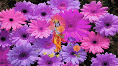 A Painting Of A Woman Surrounded By Purple And Pink Flowers GIF