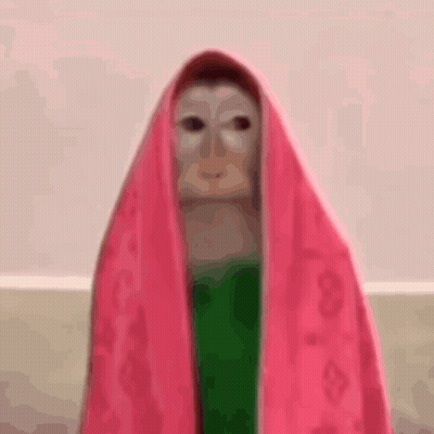 A Painting Of A Woman With A Pink Scarf Over Her Head GIF