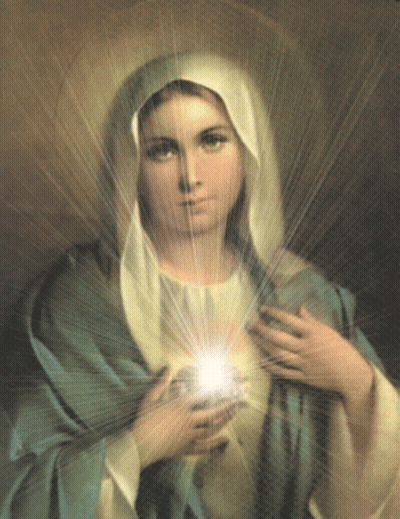A Painting Of A Woman With A White Veil On Her Head GIF