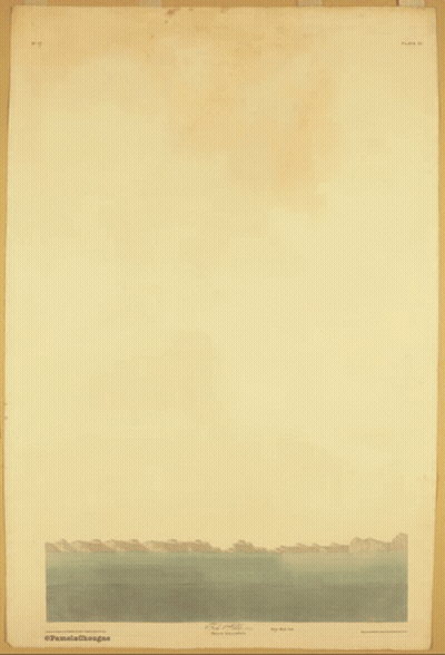 A Painting Of An Osprey With A Fish In Its Beak Is Titled ' Osprey ' GIF