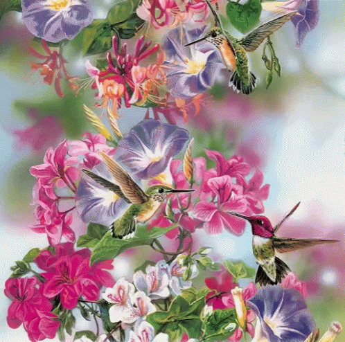 A Painting Of Hummingbirds Surrounded By Pink Flowers GIF