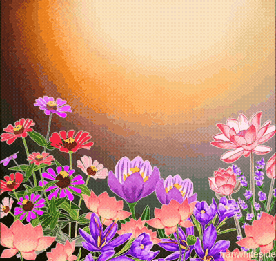 A Painting Of Pink And Purple Flowers With The Words Franwhiteside Below Them GIF