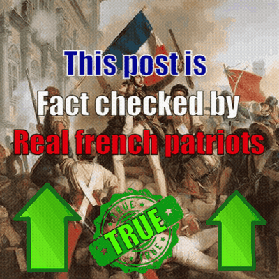 A Painting Of Soldiers With The Words " This Post Is Fact Checked By Real French Patriots " GIF