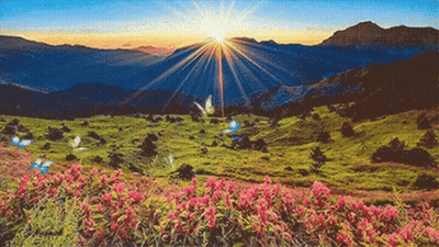 A Painting Of The Sun Shining Through The Mountains With Butterflies In The Foreground GIF