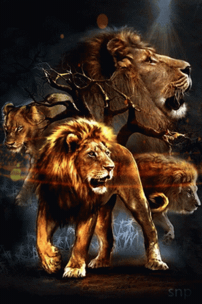 A Painting Of Three Lions With Snp Written On The Bottom GIF
