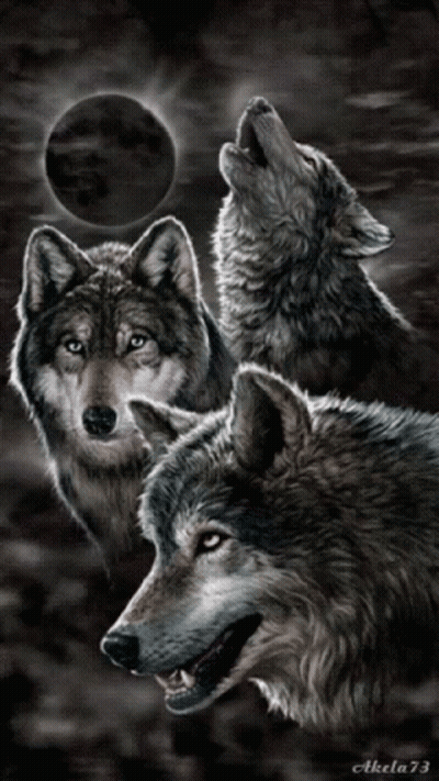A Painting Of Three Wolves Howling At The Moon By Aktela73 GIF
