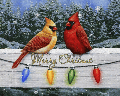 A Painting Of Two Cardinals Sitting On A Fence With The Words Merry Christmas GIF