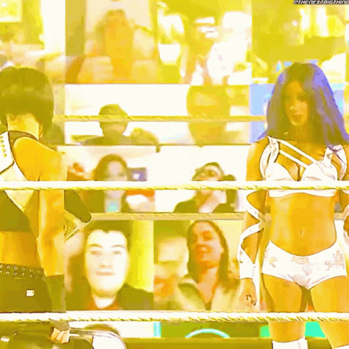 A Painting Of Two Women In A Wrestling Ring With A Watermark That Says ' Wrestling ' On The Bottom Right GIF
