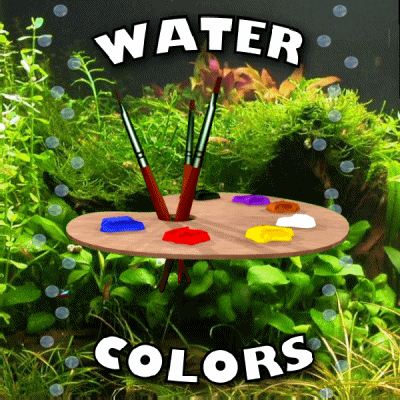 A Painting Palette With Brushes On It And The Words Water Colors Above It GIF