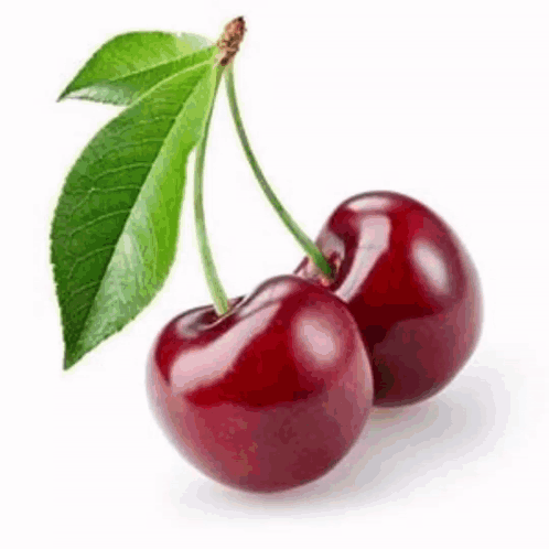 A Pair Of Cherries With Green Leaves On A White Background . GIF