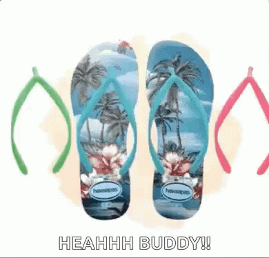 A Pair Of Havaianas Flip Flops With Palm Trees On The Bottom GIF