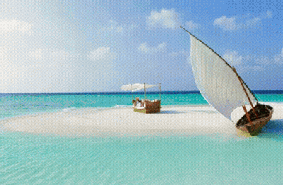 A Palm Tree On A Small Island In The Middle Of The Ocean GIF