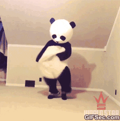 A Panda Bear Is Dancing In A Room With A Gifsec.com Logo In The Corner GIF