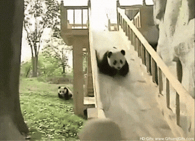 A Panda Bear Is Going Down A Slide With The Website Hd-Gifs.com Visible In The Corner GIF