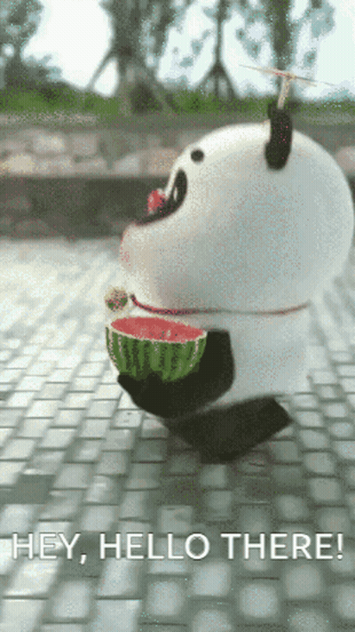 A Panda Bear Is Holding A Slice Of Watermelon In Its Mouth GIF