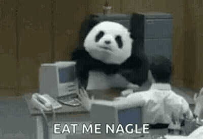 A Panda Bear Is Sitting At A Desk In Front Of A Computer And Says `` Eat Me Nagle '' . GIF
