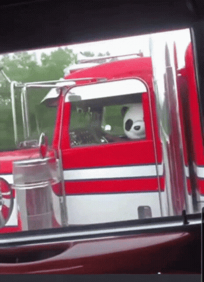 A Panda Bear Is Sitting In The Driver 'S Seat Of A Red And White Truck GIF