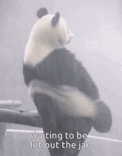 A Panda Bear Is Sitting On A Branch With The Words `` Waiting To Be Let Out The Jar '' Written On It . GIF