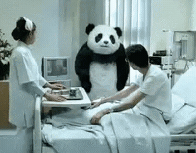 A Panda Bear Is Standing In A Hospital Room Next To A Man In A Hospital Bed . GIF
