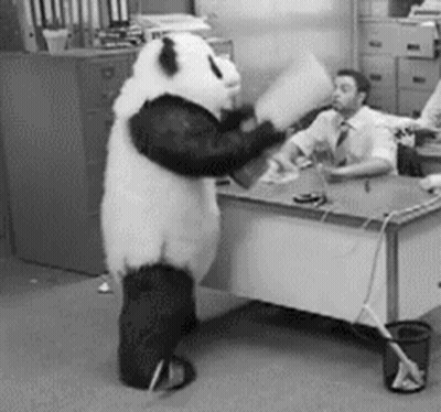 A Panda Bear Is Standing In Front Of A Desk With A Man In A Suit Behind It . GIF