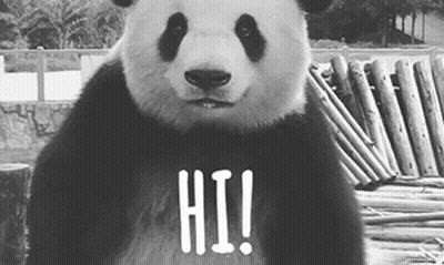 A Panda Bear Is Standing In Front Of A Pile Of Wood And Says Hi ! GIF