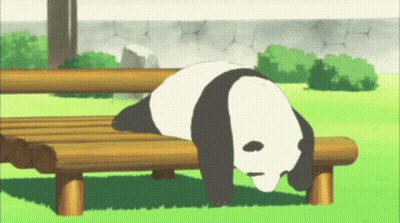 A Panda Bear Laying On A Wooden Bench GIF