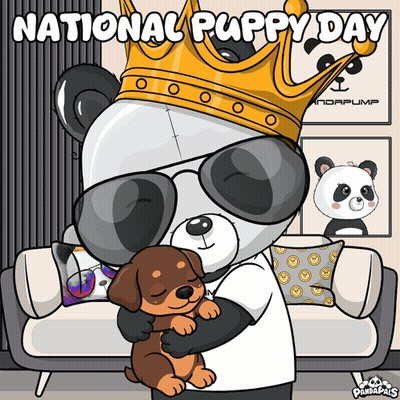 A Panda Bear Wearing A Crown And Sunglasses Holds A Puppy GIF