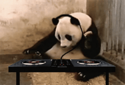 A Panda Bear Wearing Headphones Sits At A Dj 'S Table GIF