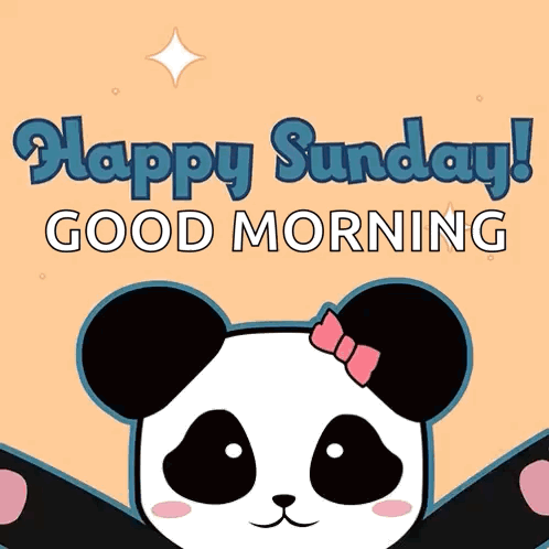 A Panda Bear With A Pink Bow On Its Head And The Words Happy Sunday Good Morning GIF