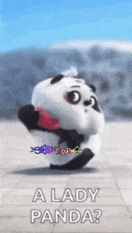 A Panda Bear With A Red Scarf Around Its Neck And The Words A Lady Panda GIF