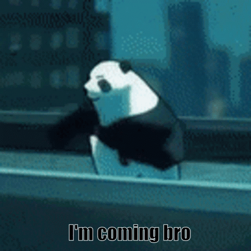 A Panda Bear With The Words I 'M Coming Bro Written On It GIF