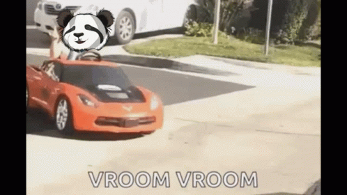 A Panda Is Driving A Toy Car On A Street . GIF
