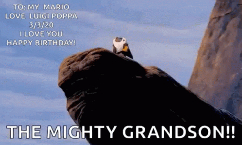 A Panda Is Sitting On Top Of A Rock With The Words `` To My Mario Love Luigi Poppa `` Written On It . GIF