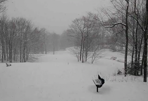 A Park Bench Is Sitting In The Middle Of A Snow Covered Forest . GIF