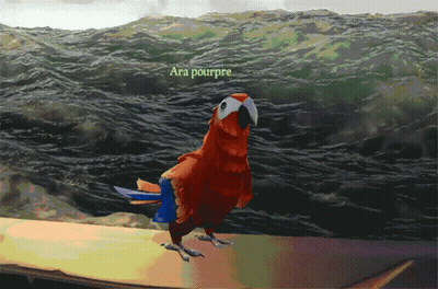 A Parrot With The Name Ara Pourpre On The Bottom GIF