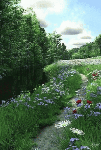 A Path Through A Field Of Flowers With The Name Linda On The Bottom Left GIF