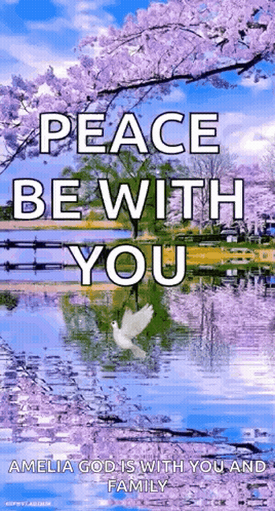 A Peace Be With You Amelia God Is With You And Family GIF